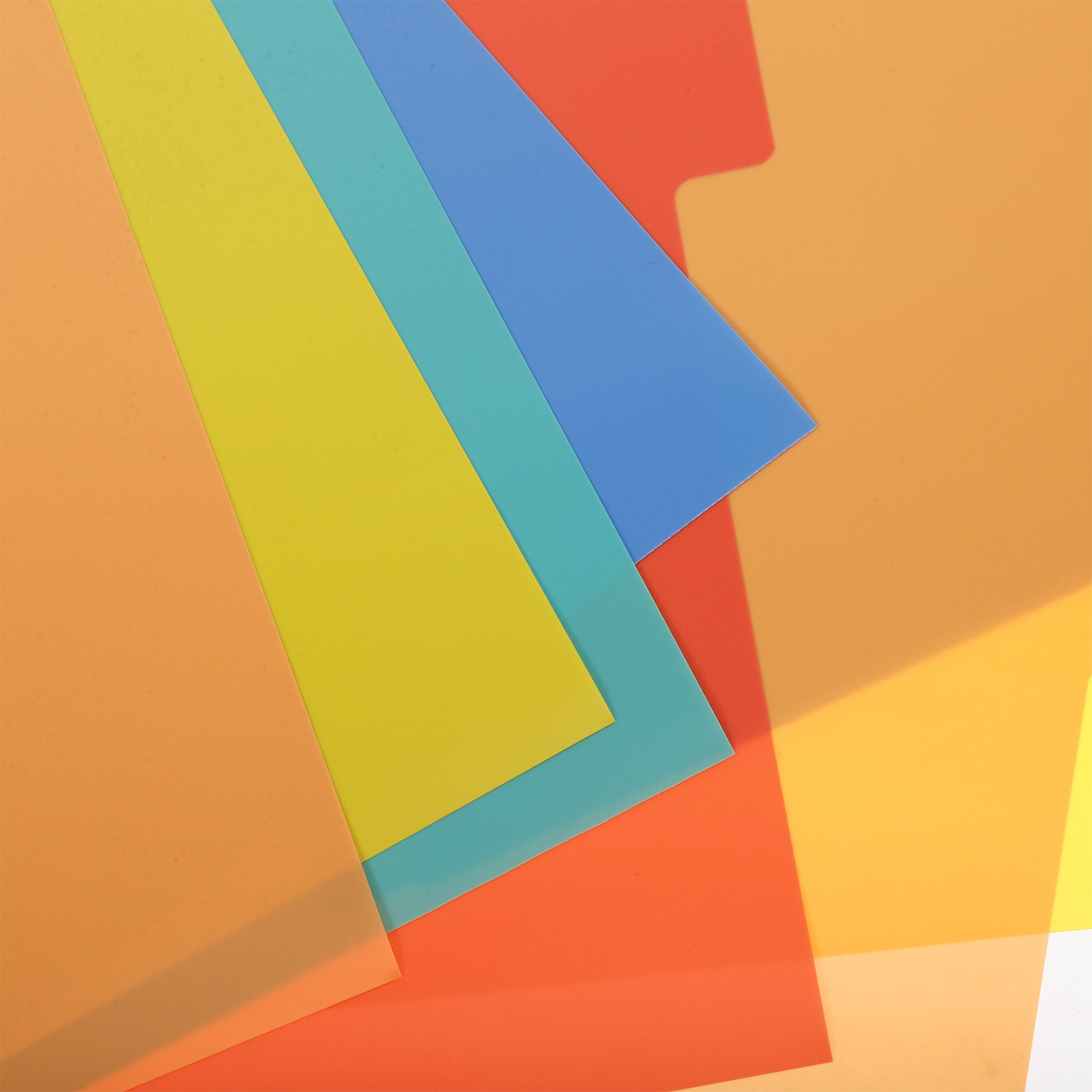 2 juegos de divisores de carpe - Tab Divider A4 reseña y precio